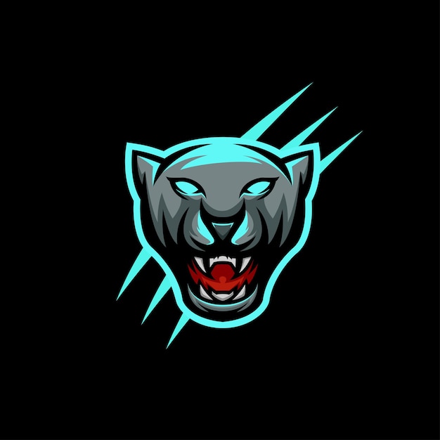 T1